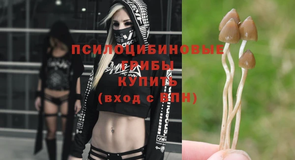 дживик Белоозёрский