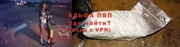 прущие грибы Магадан