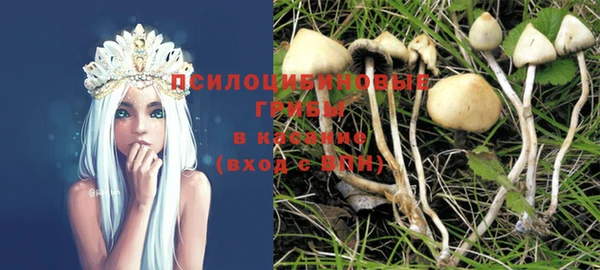 спайс Магас