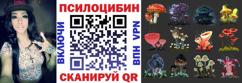 Псилоцибиновые грибы ЛСД  блэк спрут как зайти  Болгар 